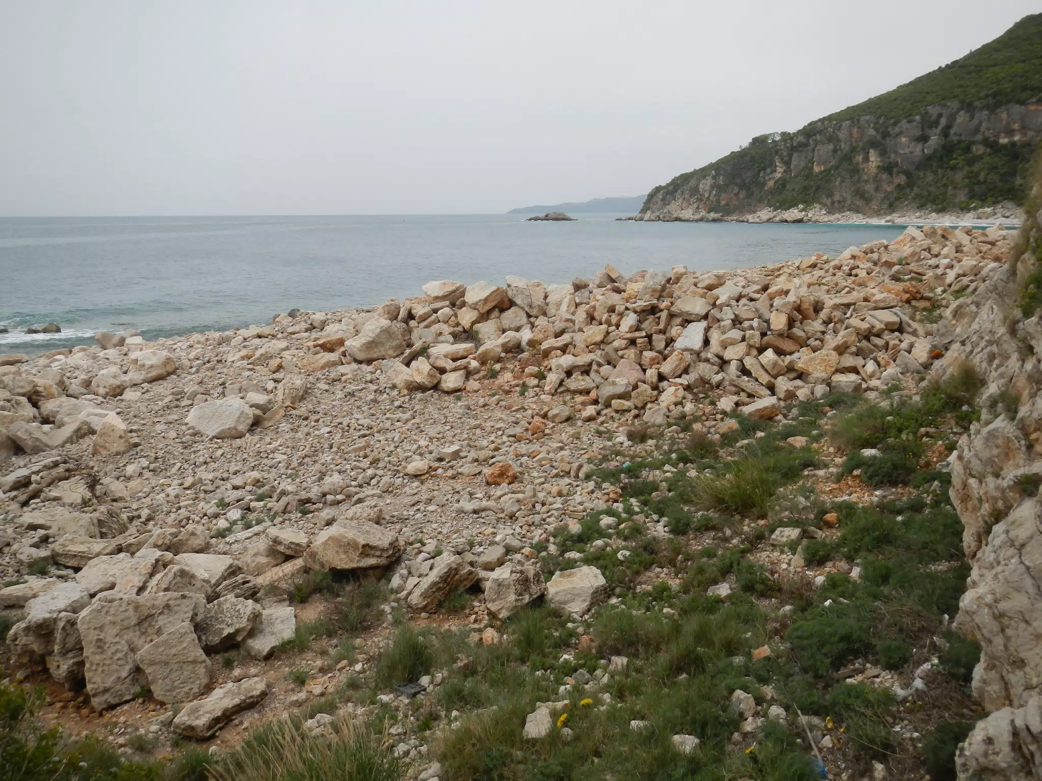 DSCN5871