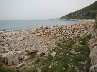 DSCN5871