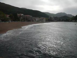 DSCN5851