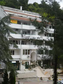 DSCN5857