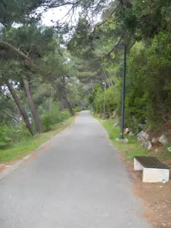 DSCN5860