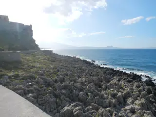 DSCN5394