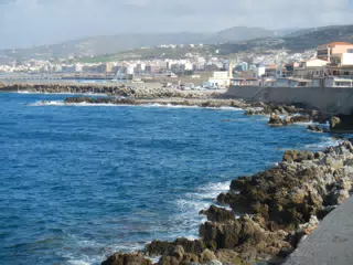 DSCN5398