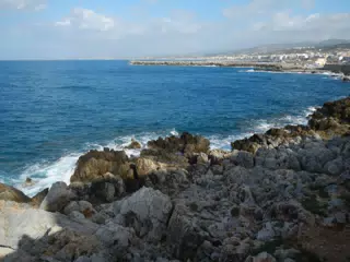 DSCN5399