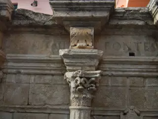 DSCN5437