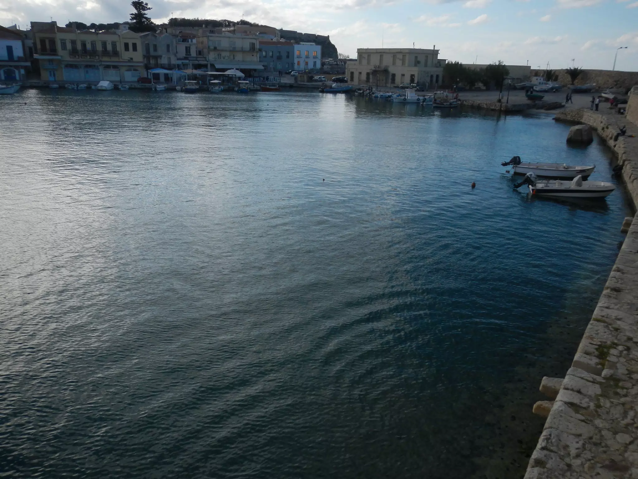 DSCN5454