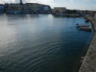 DSCN5454
