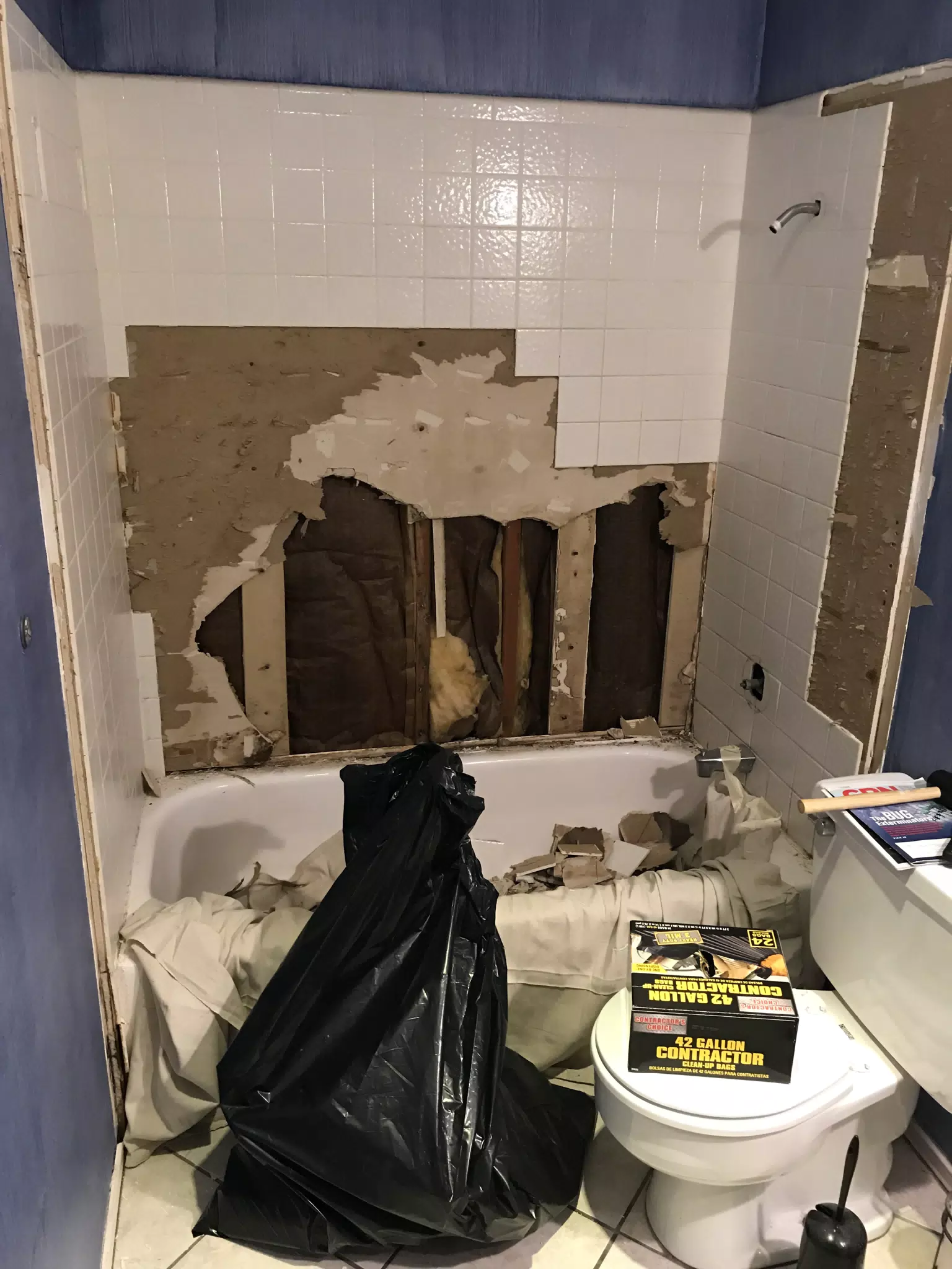 Bathroom Demolition