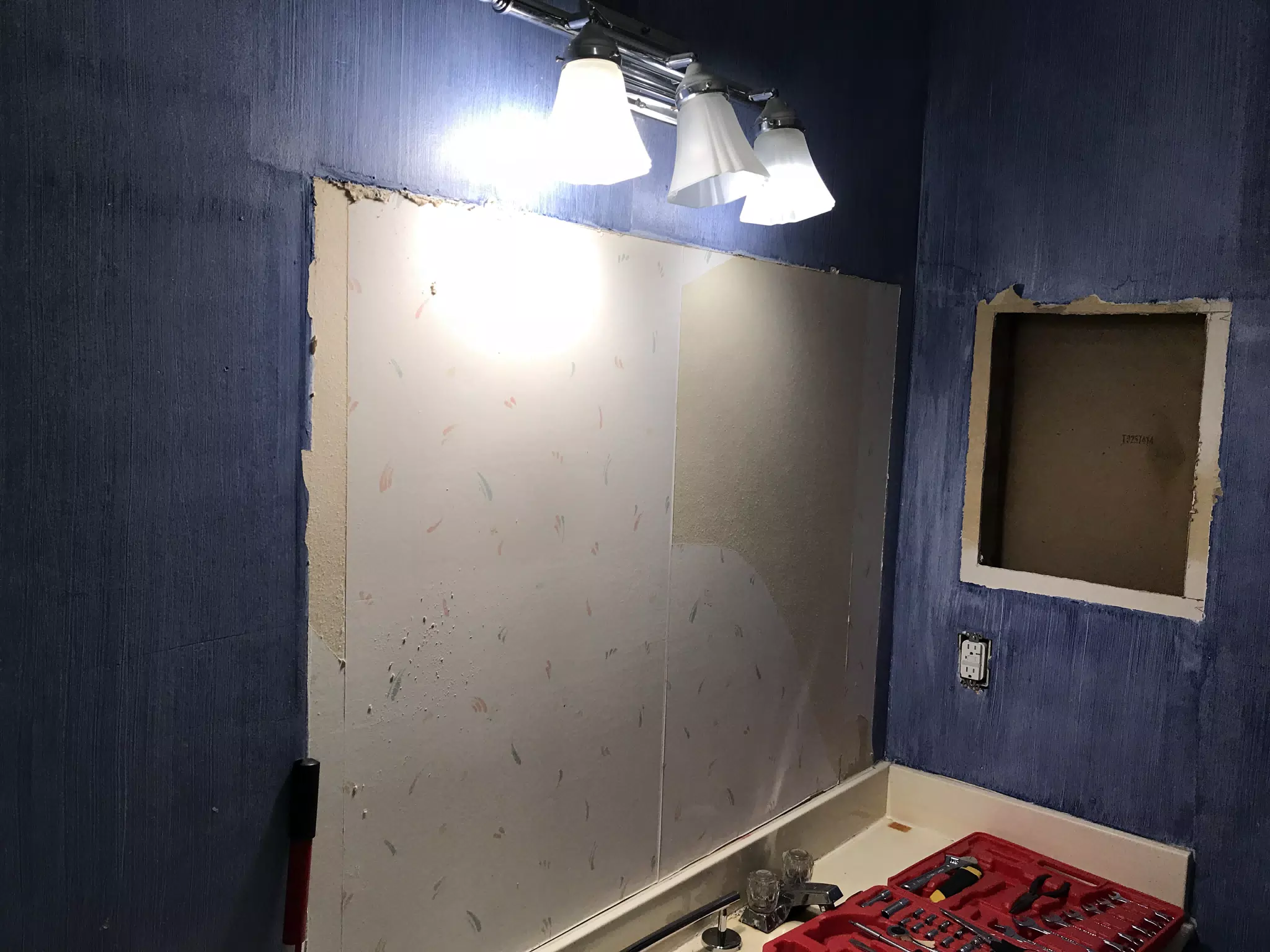 Bathroom Demolition