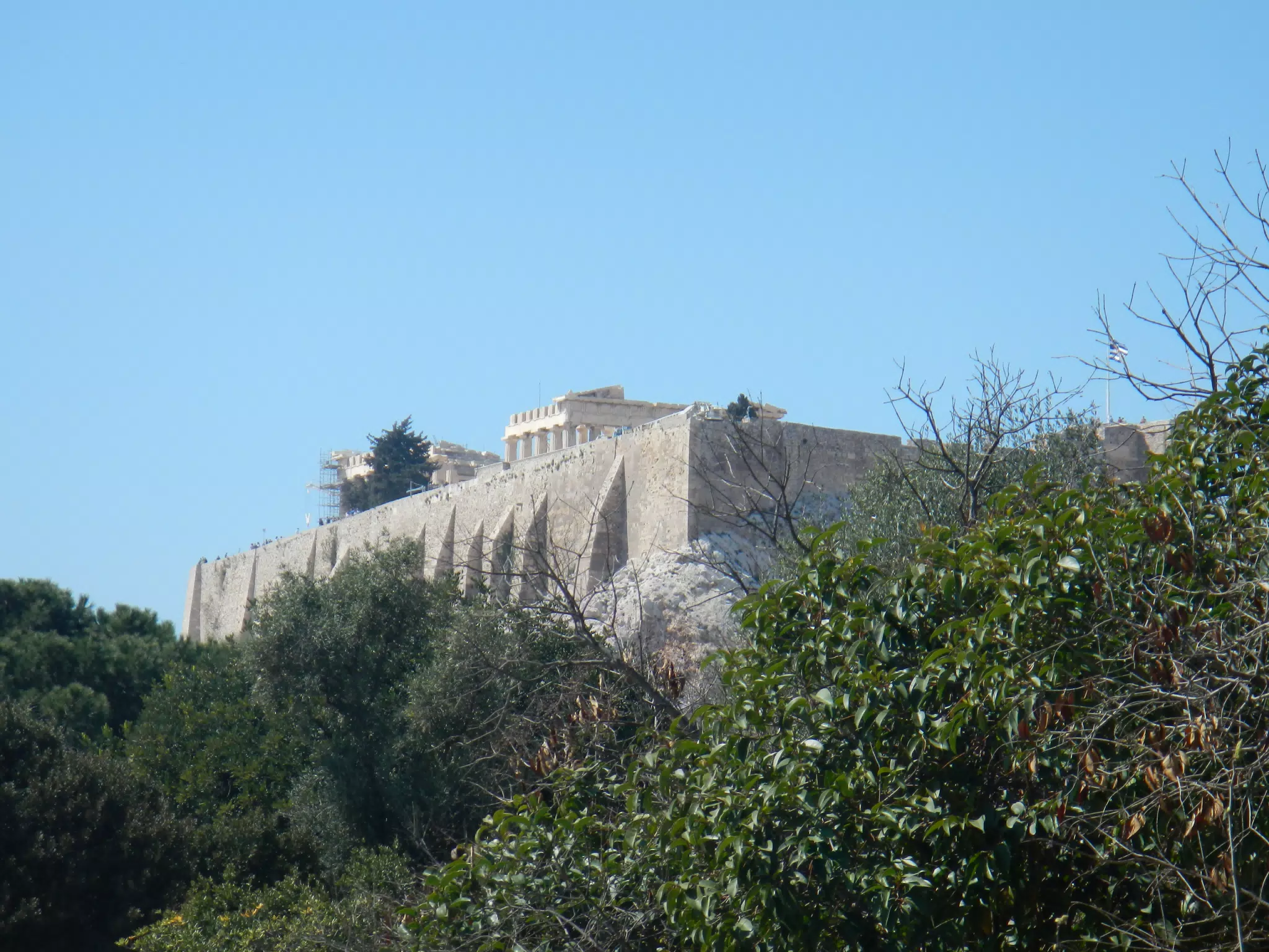 DSCN5521