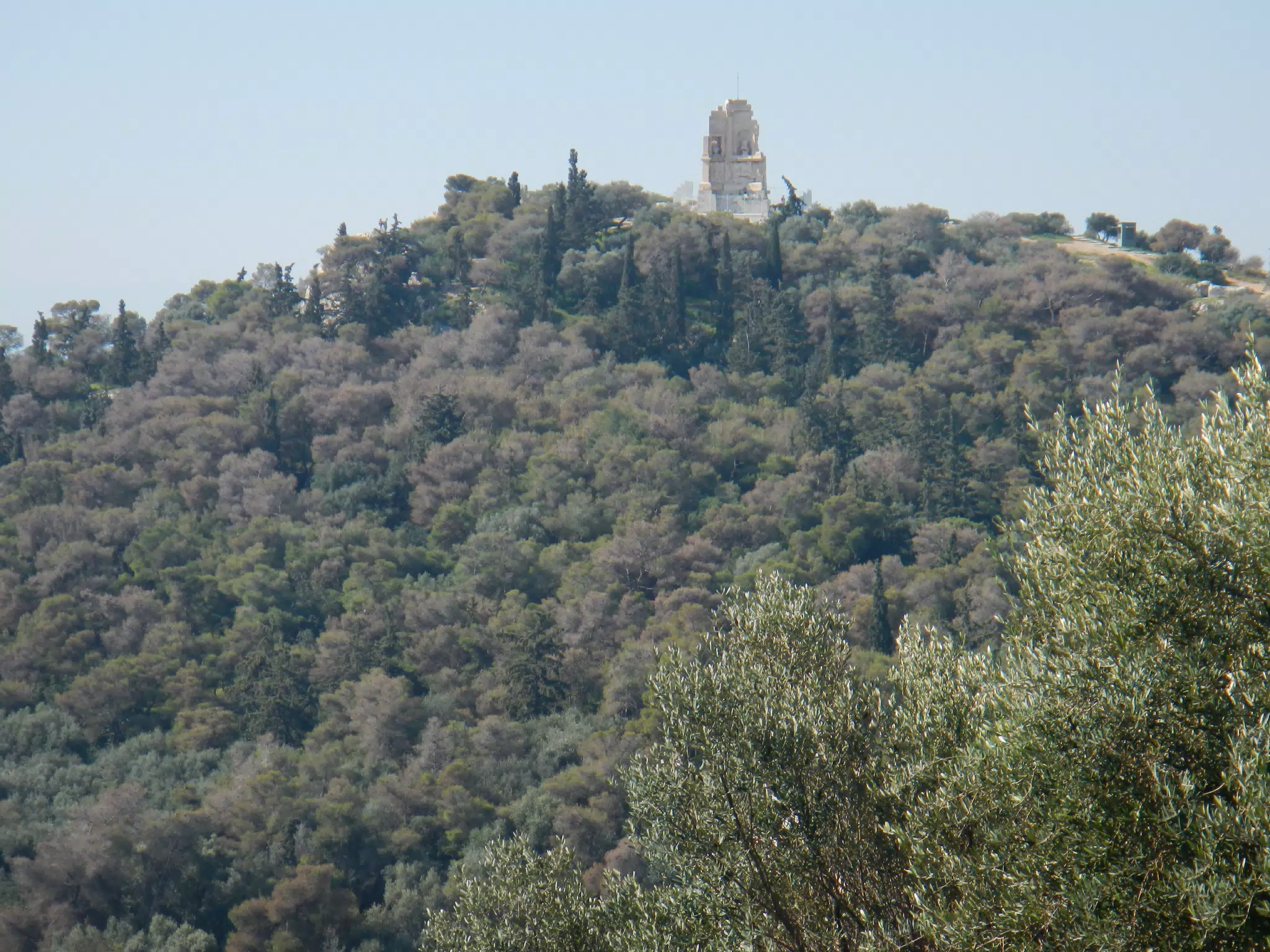 DSCN5461