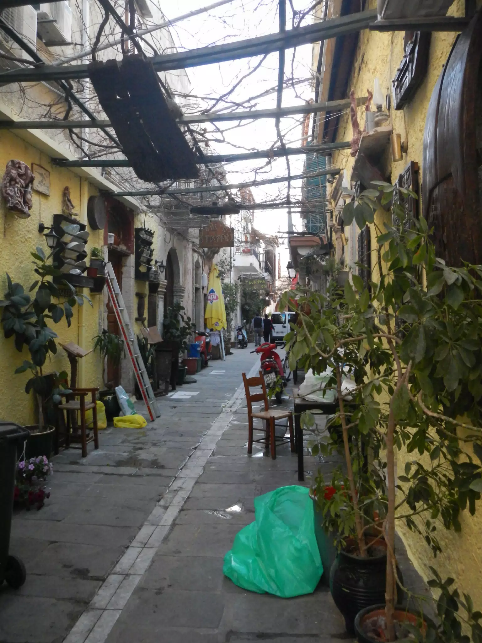 DSCN5440