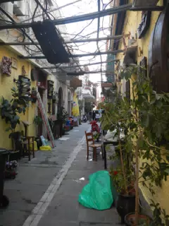 DSCN5440