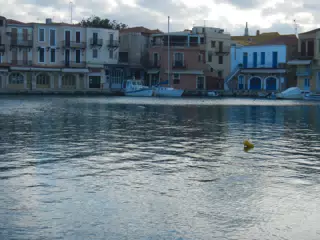DSCN5446