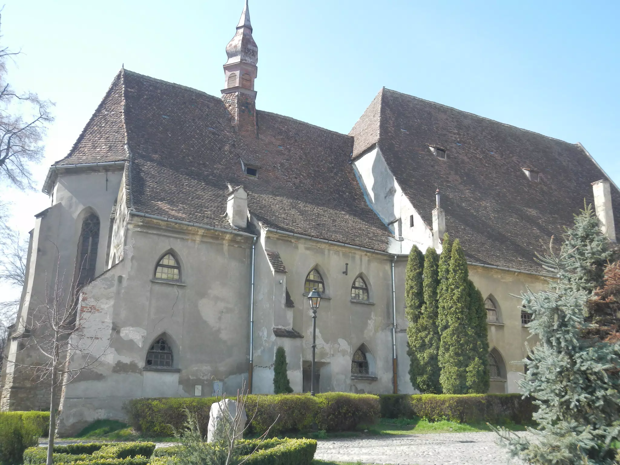 DSCN5619