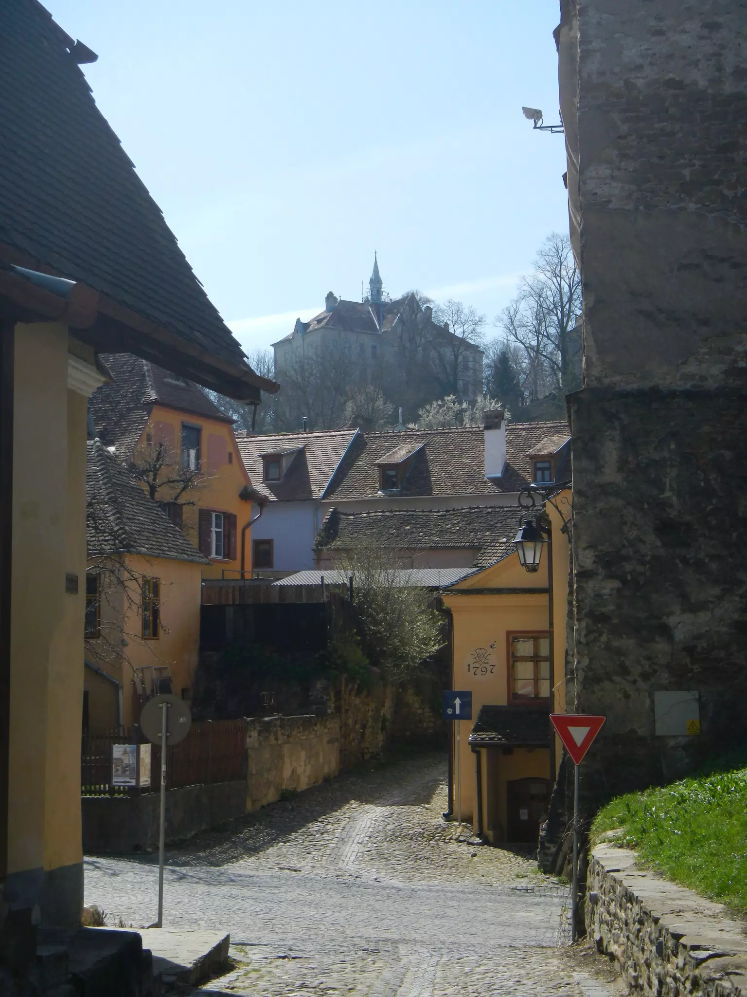 DSCN5646