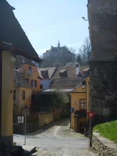 DSCN5646