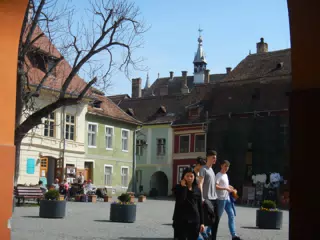 DSCN5654