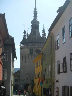 DSCN5656