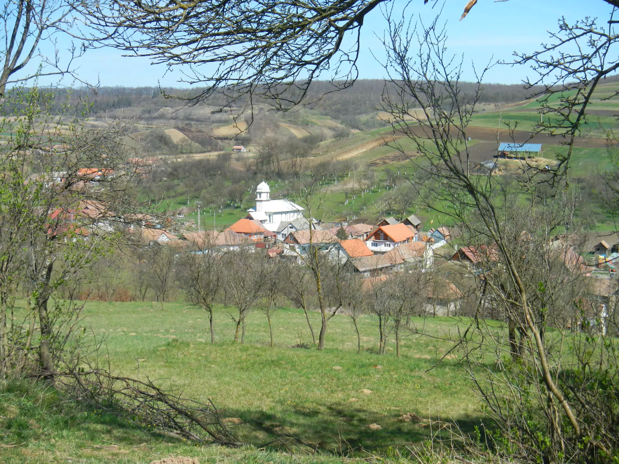 DSCN5662