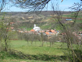 DSCN5662