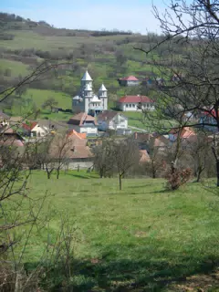 DSCN5663