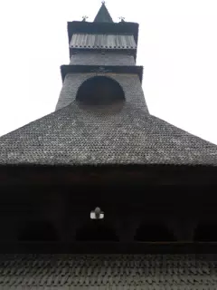 DSCN5686