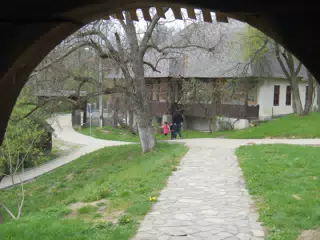 DSCN5689