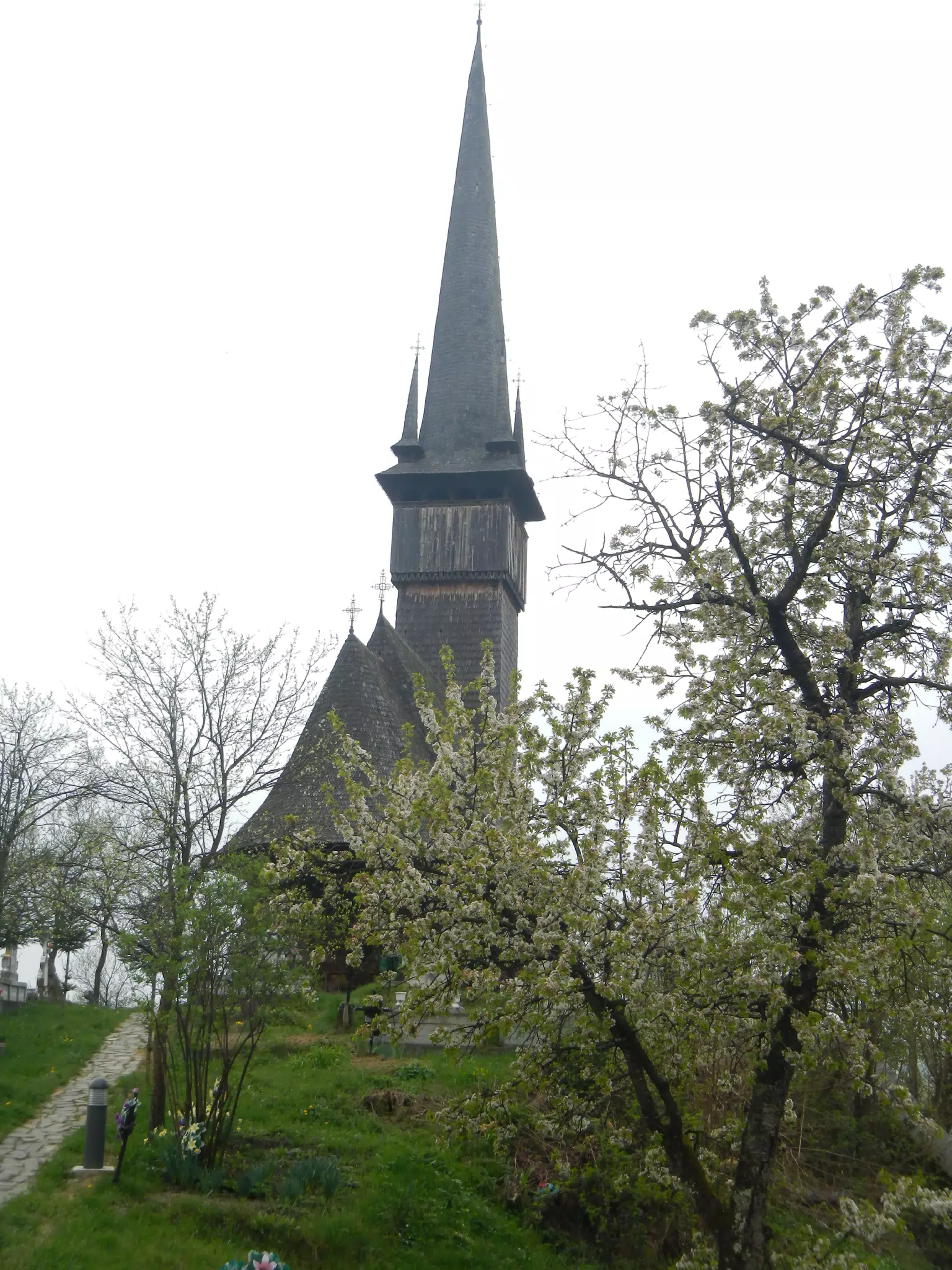 DSCN5704