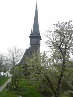DSCN5704