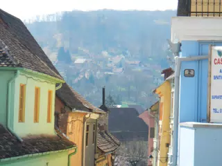 DSCN5603
