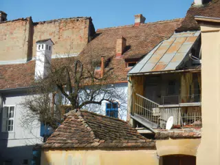 DSCN5628