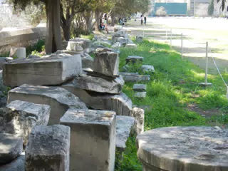DSCN5529