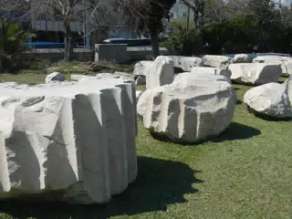 DSCN5541