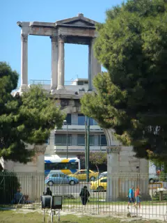 DSCN5546