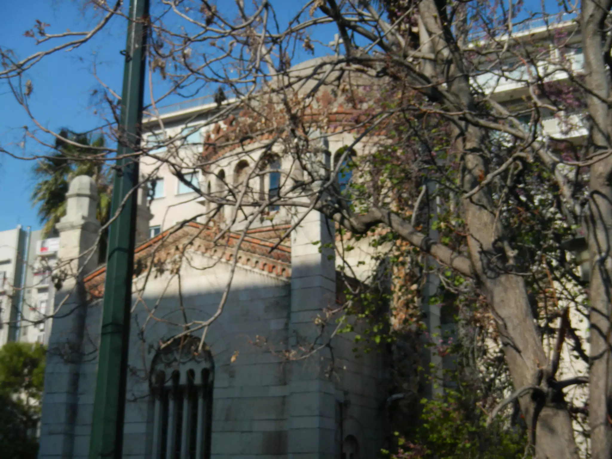 DSCN5581