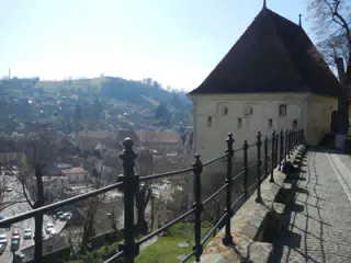 DSCN5620