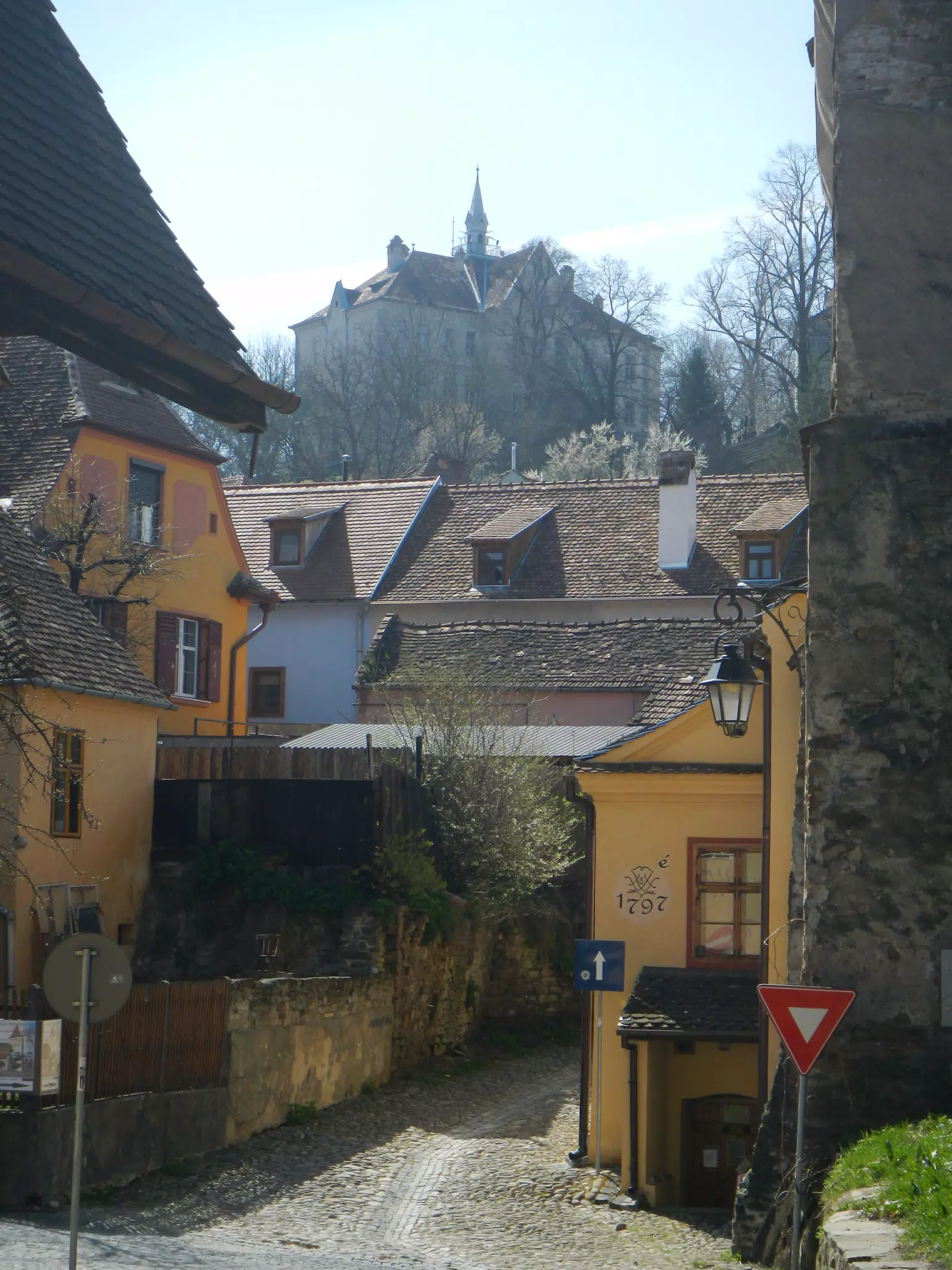 DSCN5647