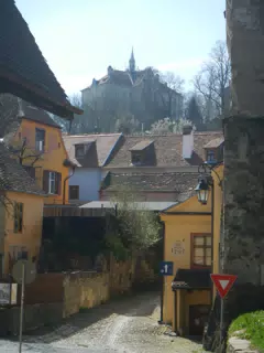 DSCN5647
