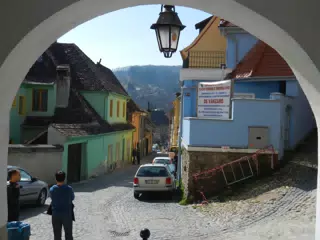 DSCN5602