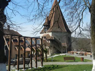 DSCN5635
