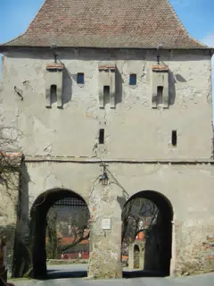 DSCN5648