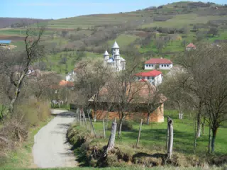DSCN5660