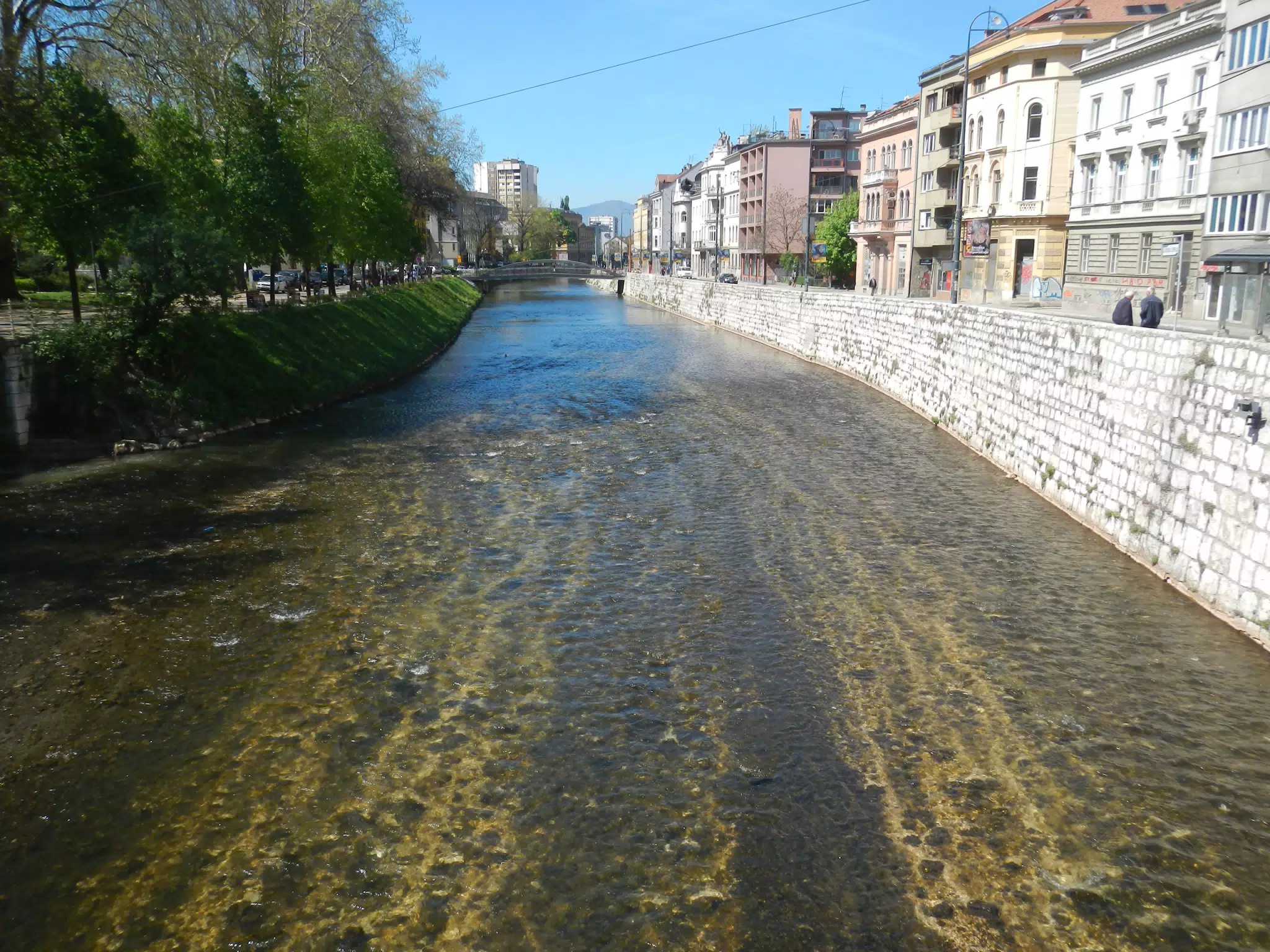 DSCN5746