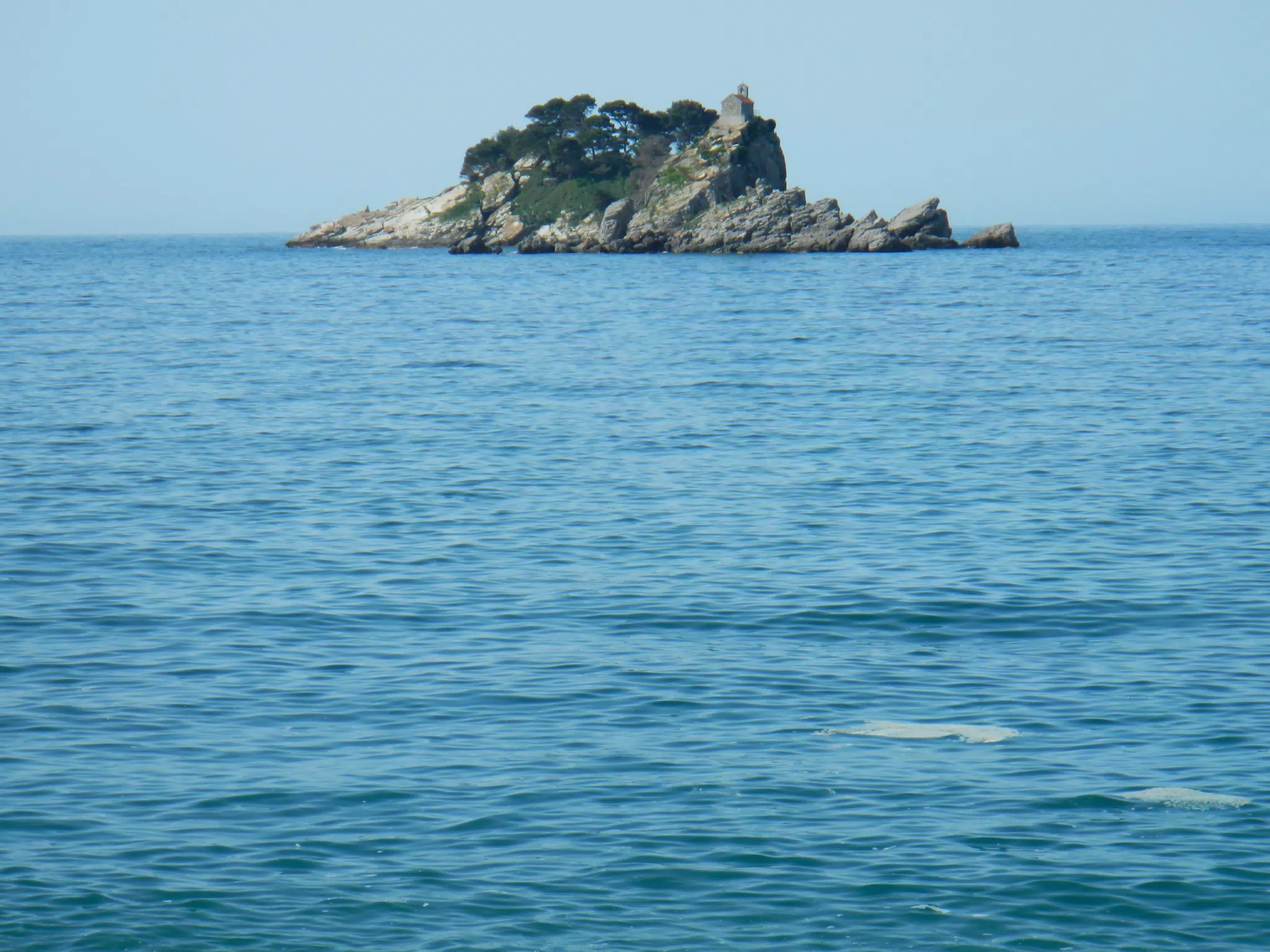 DSCN5819