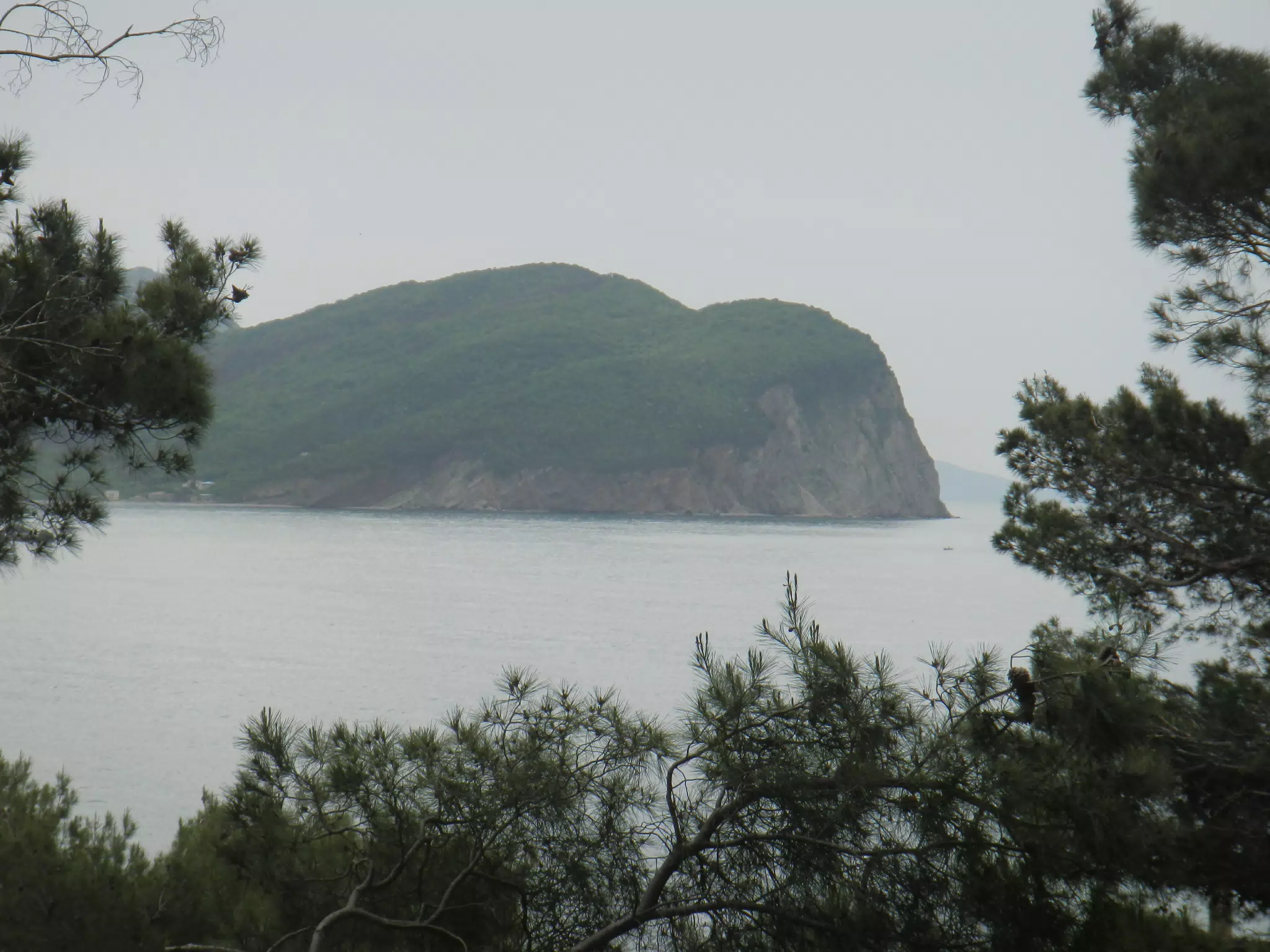 DSCN5858