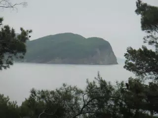 DSCN5858