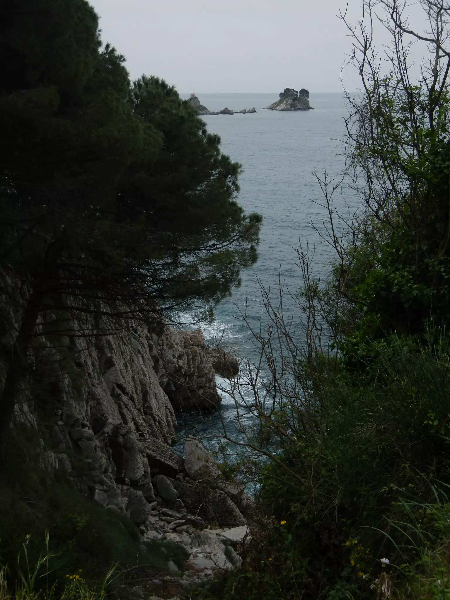DSCN5874