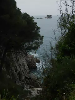 DSCN5874