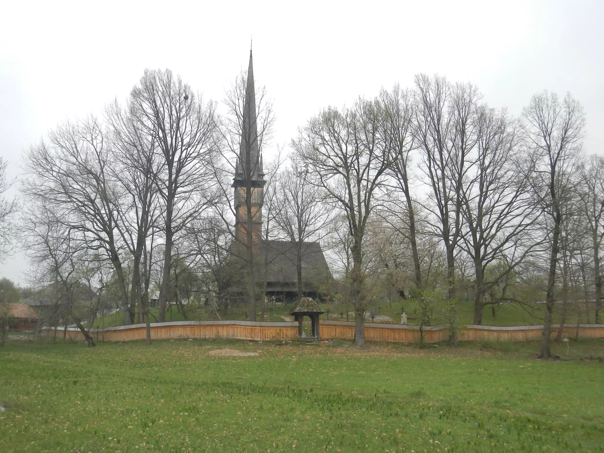 DSCN5680